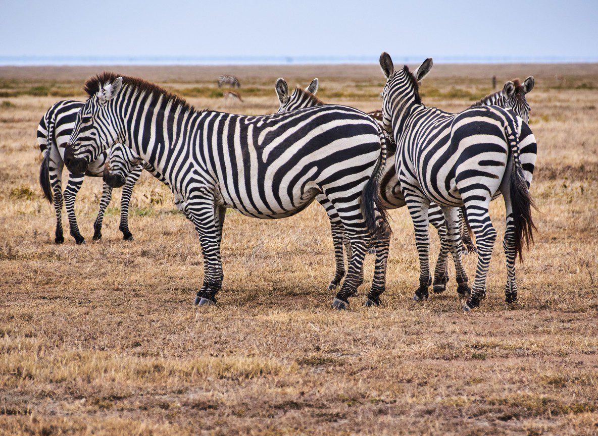 What To Wear In Samburu