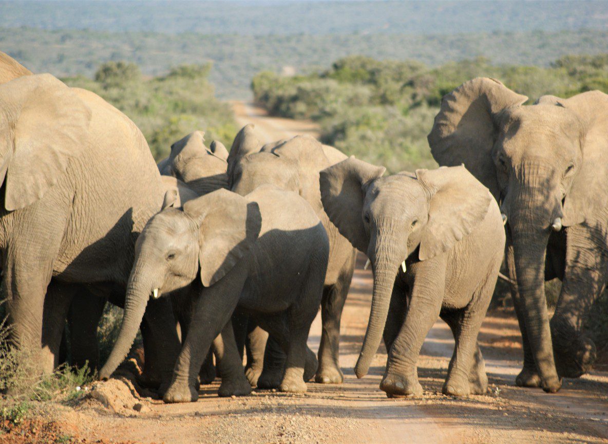 What To Wear In Tsavo East