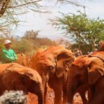 What To Wear In Tsavo West