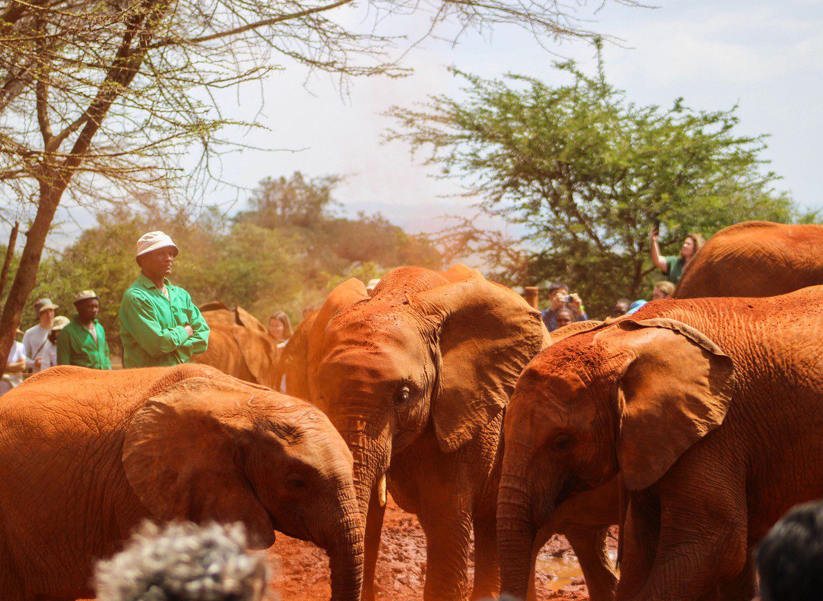 What To Wear In Tsavo West