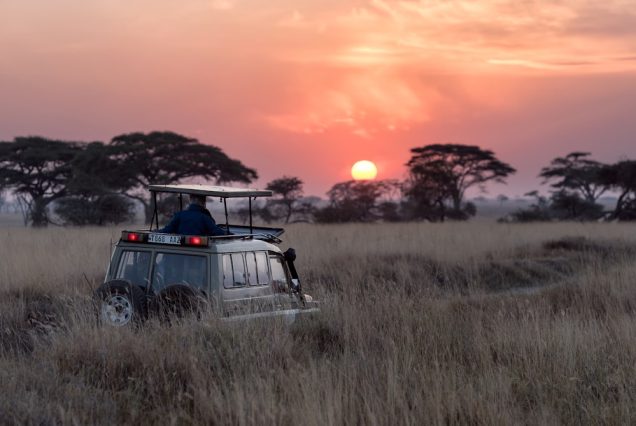 2-Day Lake Nakuru Rhino Weekend