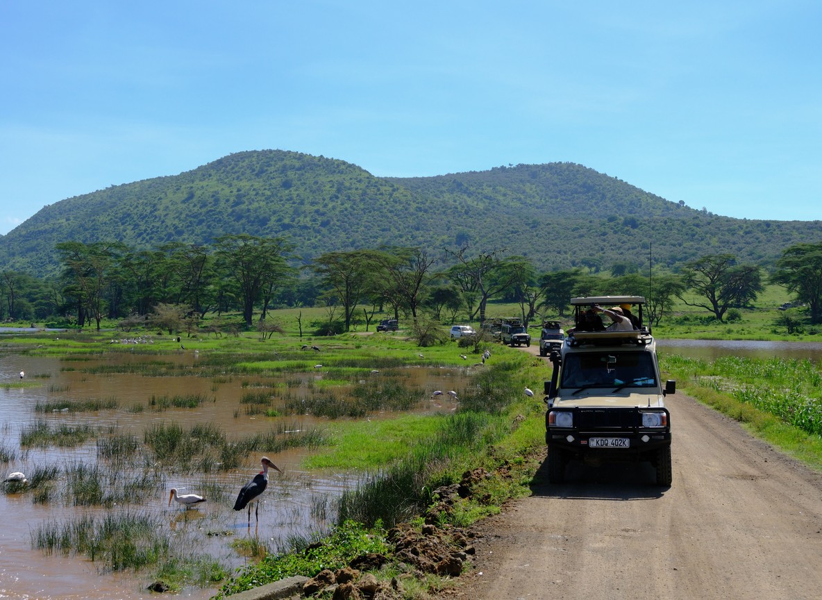 Open safari vehicles on a game drive track past a wetland with wading birds, Kenya savanna landscape