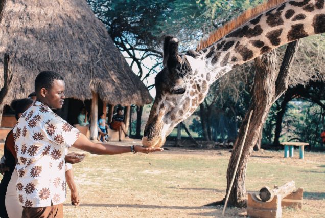 8-Day Kenya Family Safari