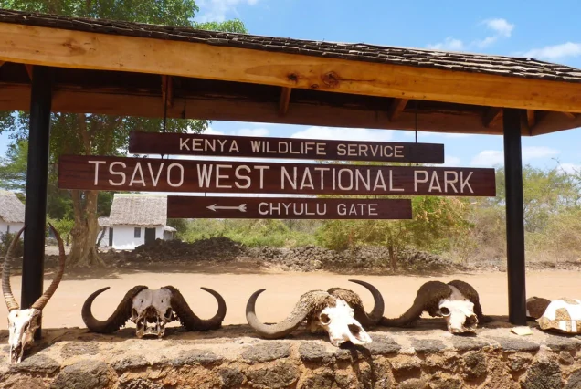3-Day Tsavo East & West Safari from Mombasa