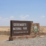 Amboseli Fly Vs Drive Guide
