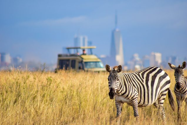 1-Day Best of Nairobi City Excursion