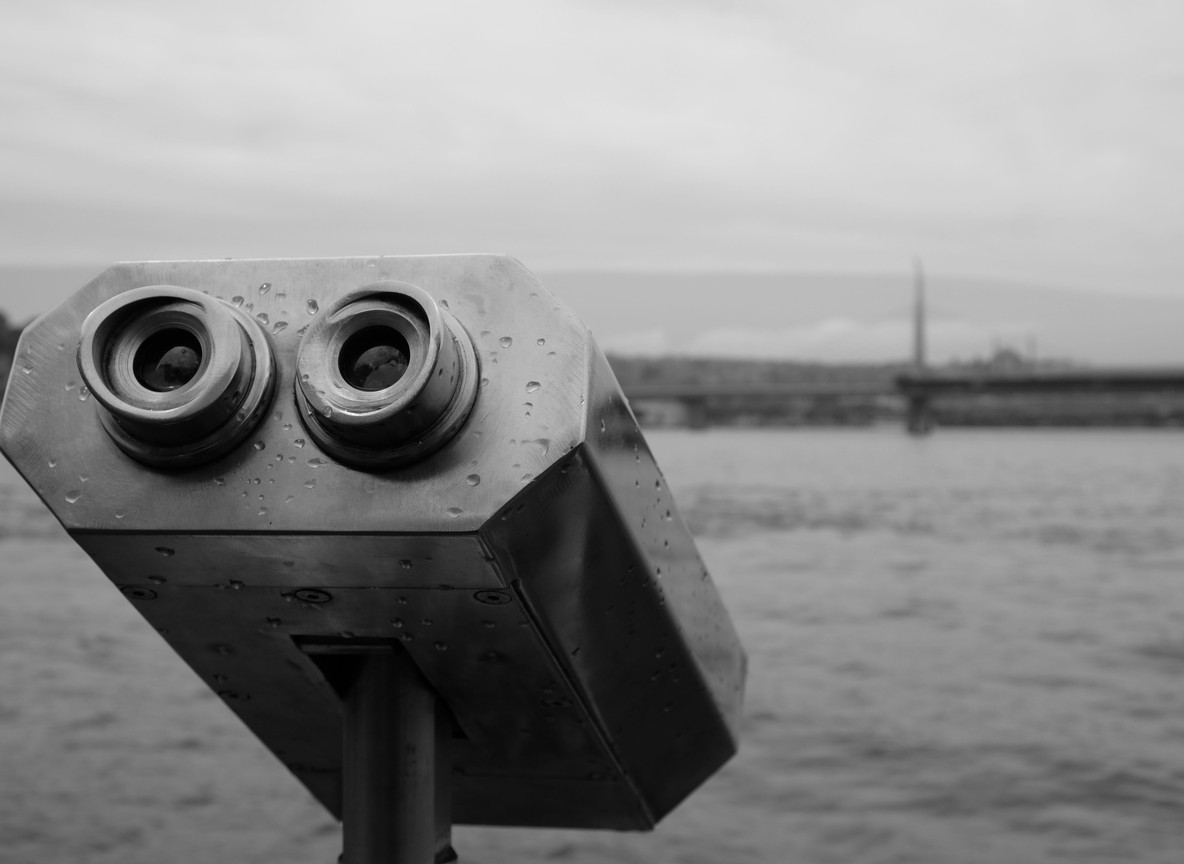 Binoculars Vs Zoom Lens Safari