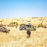 Charter Flight Vs Scheduled Bush Flight Kenya