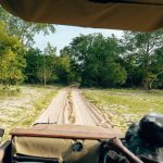 A safari vehicle moving down a sandy bush track through dense acacia woodland typical of the Tsavo landscape scouts patrol