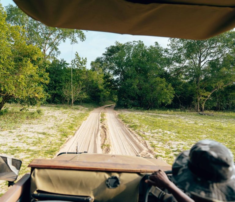 A safari vehicle moving down a sandy bush track through dense acacia woodland typical of the Tsavo landscape scouts patrol