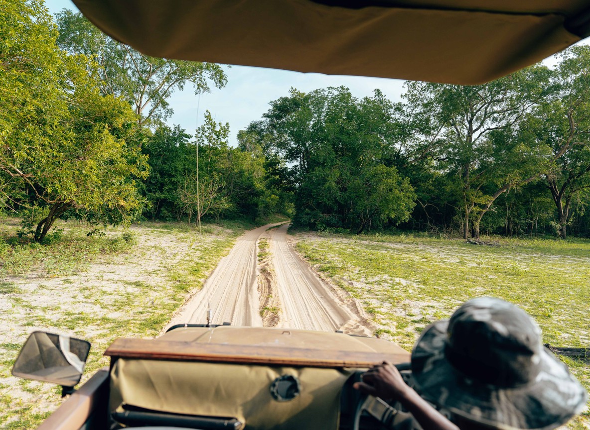 A safari vehicle moving down a sandy bush track through dense acacia woodland typical of the Tsavo landscape scouts patrol