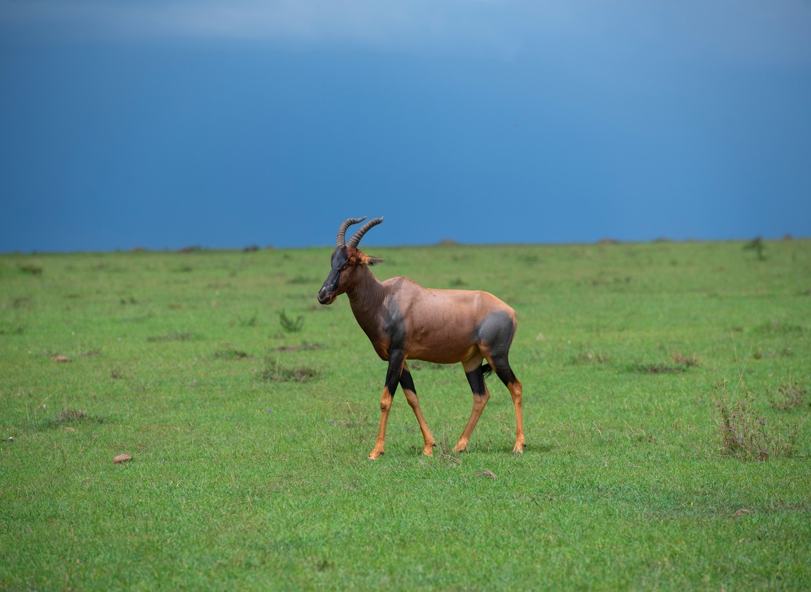 Diani Beach Your Perfect Kenya Beach Paradise After Safari
