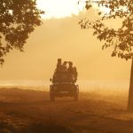 A Kenyan safari guide in uniform pointing out wildlife to guests from an open-sided safari vehicle at golden hour