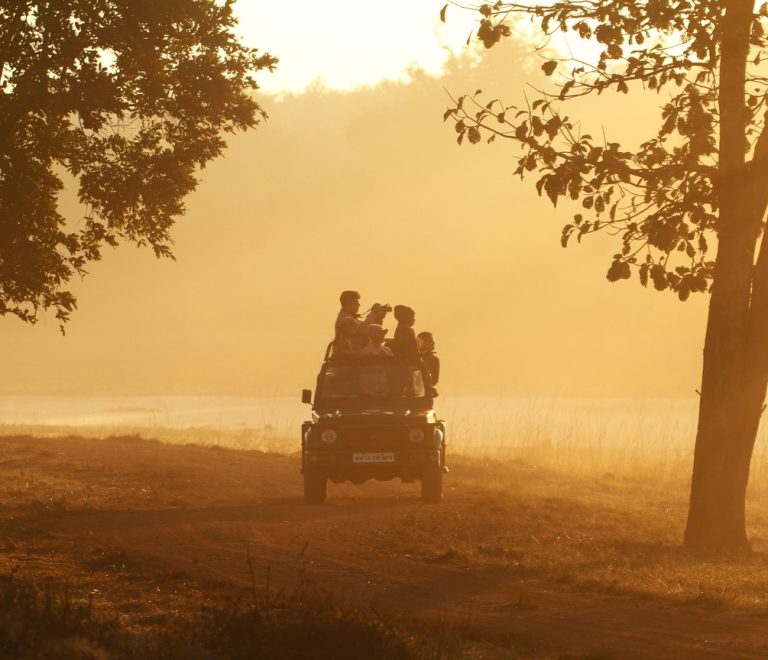 A Kenyan safari guide in uniform pointing out wildlife to guests from an open-sided safari vehicle at golden hour