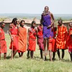 Maasai warriors in traditional red shuka and beaded ornaments gathered for a cultural ceremony in Kenya