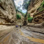 Hell's Gate National Park Hell's Gate National Park, located near Lake Naivasha in the Great Rift Valley, is one of the few parks in Kenya where visitors can walk, cycle, or hike among free-roaming wildlife without a vehicle. Its dramatic gorges, towering cliffs, and geothermal features make it a favorite for adventure travelers. The park is famous for its striking landscape of red sandstone cliffs and the iconic Fischer's Tower, a volcanic rock column that reportedly inspired scenes in Disney's 'The Lion King.' Visitors can spot zebra, giraffe, eland, buffalo, and various antelope species while exploring on foot or by bicycle. A standout activity is the guided hike through Hell's Gate Gorge, which leads to natural geothermal hot springs and steam vents — a reminder of the park's volcanic origins and its connection to the nearby Olkaria Geothermal Power Station. Hell's Gate is also popular with rock climbers and is often combined with a visit to Lake Naivasha for boat rides and birdwatching, offering an action-packed day out from Nairobi. Ready to experience Hell's Gate National Park for yourself? book your safari with Valley Safaris today. Need help customizing this part of your itinerary? contact our travel experts.
