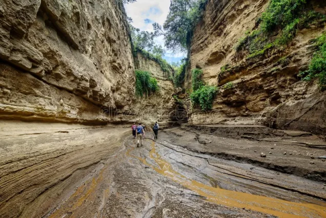 Hell's Gate National Park Hell's Gate National Park, located near Lake Naivasha in the Great Rift Valley, is one of the few parks in Kenya where visitors can walk, cycle, or hike among free-roaming wildlife without a vehicle. Its dramatic gorges, towering cliffs, and geothermal features make it a favorite for adventure travelers. The park is famous for its striking landscape of red sandstone cliffs and the iconic Fischer's Tower, a volcanic rock column that reportedly inspired scenes in Disney's 'The Lion King.' Visitors can spot zebra, giraffe, eland, buffalo, and various antelope species while exploring on foot or by bicycle. A standout activity is the guided hike through Hell's Gate Gorge, which leads to natural geothermal hot springs and steam vents — a reminder of the park's volcanic origins and its connection to the nearby Olkaria Geothermal Power Station. Hell's Gate is also popular with rock climbers and is often combined with a visit to Lake Naivasha for boat rides and birdwatching, offering an action-packed day out from Nairobi. Ready to experience Hell's Gate National Park for yourself? book your safari with Valley Safaris today. Need help customizing this part of your itinerary? contact our travel experts.