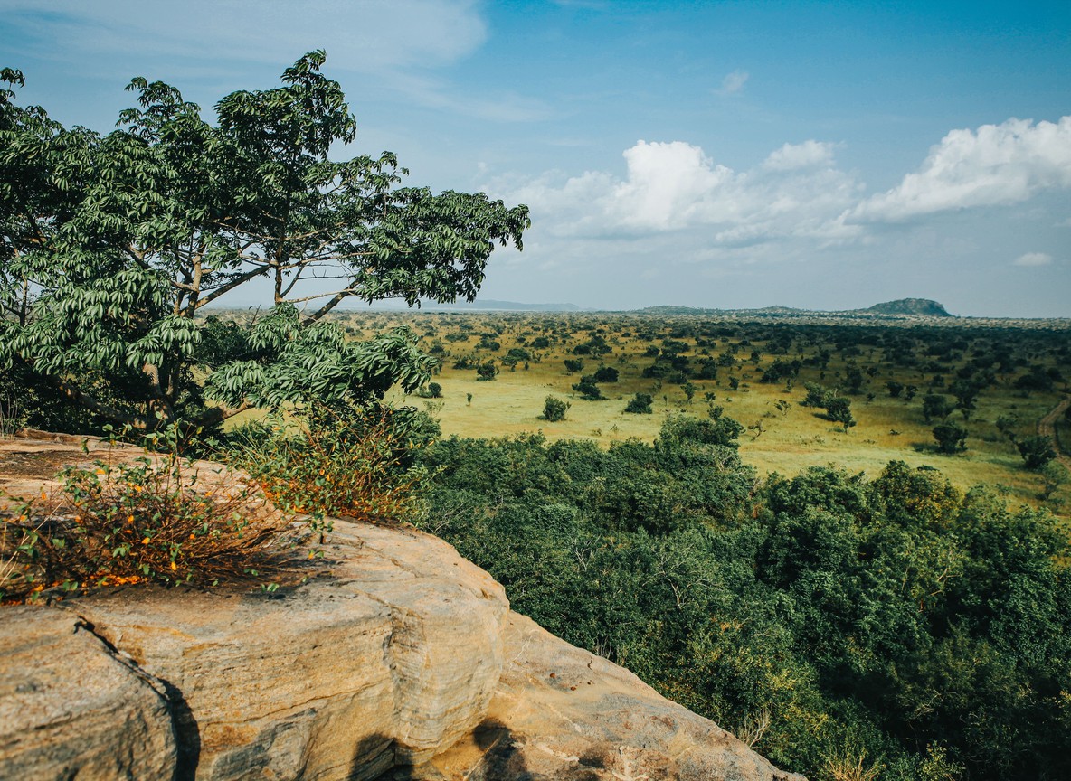 A wide savanna view from a rocky outcrop inside Hell's Gate National Park, Naivasha, Kenya