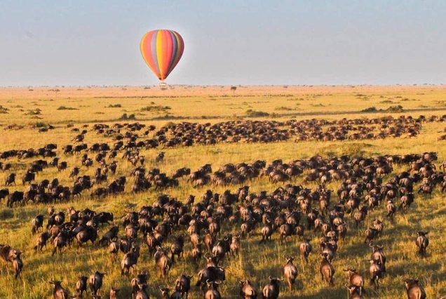 3-Day Masai Mara & Lake Naivasha Budget Safari
