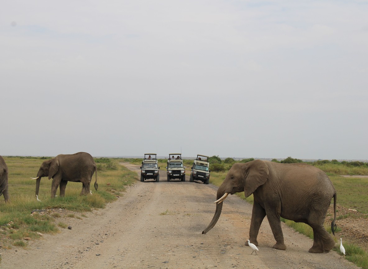 Is Amboseli Worth It In The Rainy Season