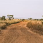A red-dirt track winding through dry savanna grassland toward the horizon, the kind of overland road linking the Mara ecosystem to the Kenya-Tanzania border
