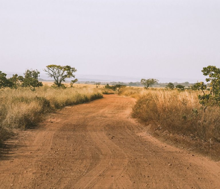 A red-dirt track winding through dry savanna grassland toward the horizon, the kind of overland road linking the Mara ecosystem to the Kenya-Tanzania border