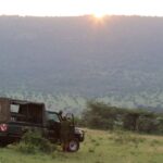 Kato Certified Vs Non Certified Safari Operator