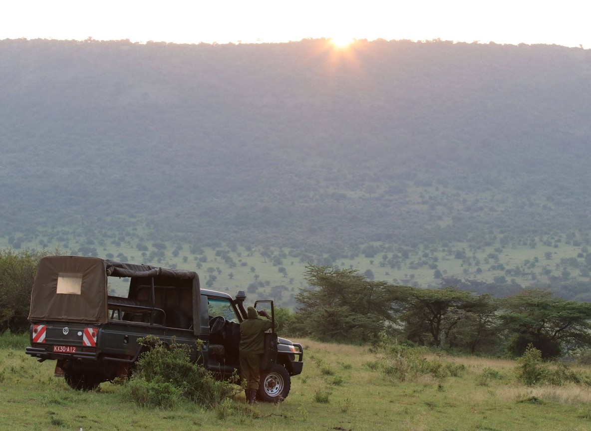 Kato Certified Vs Non Certified Safari Operator
