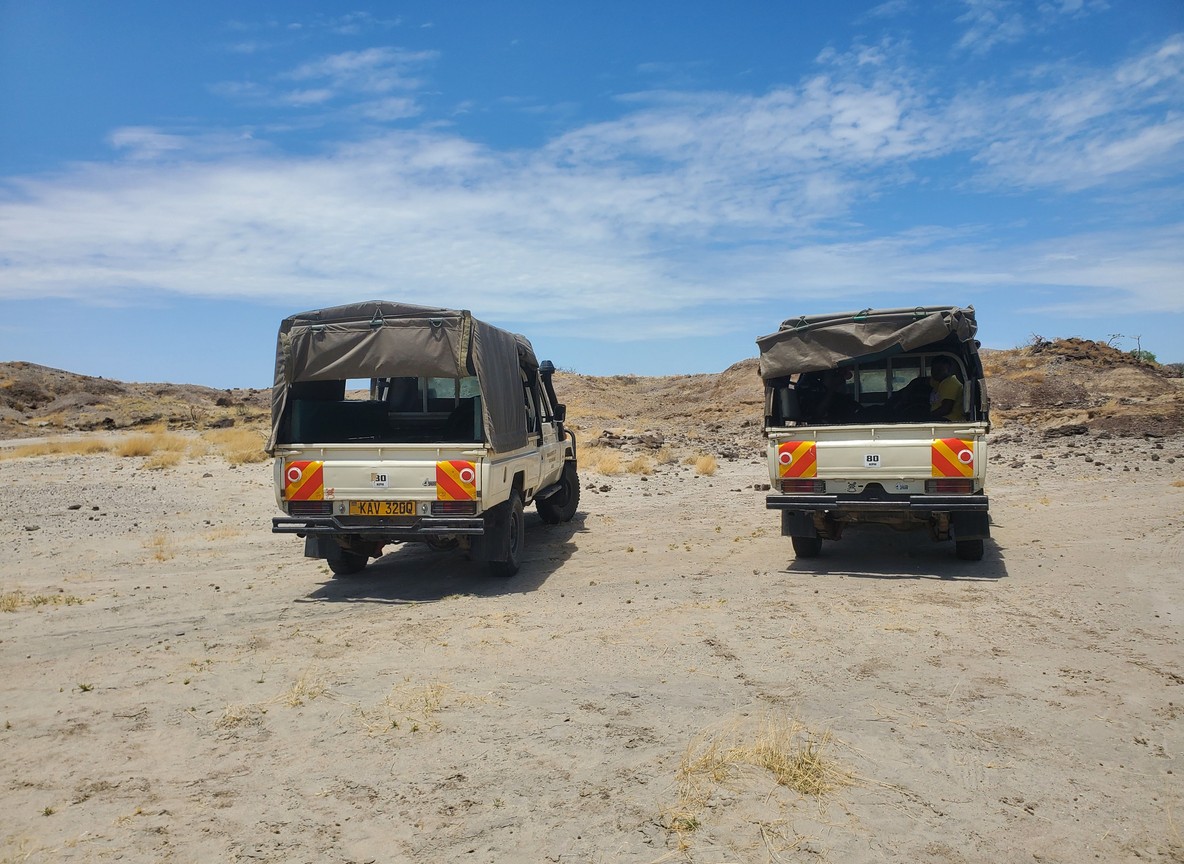 Kato Certified Vs Non Certified Safari Operator