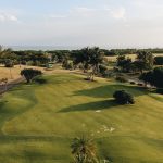 aerial view of a coastal golf course fairway lined with palm trees next to the Indian Ocean near Mombasa Kenya
