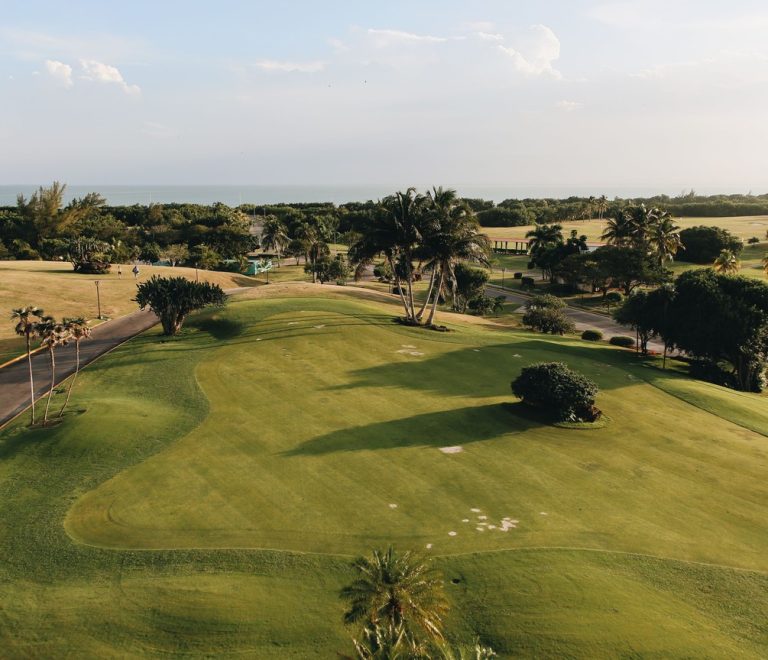aerial view of a coastal golf course fairway lined with palm trees next to the Indian Ocean near Mombasa Kenya