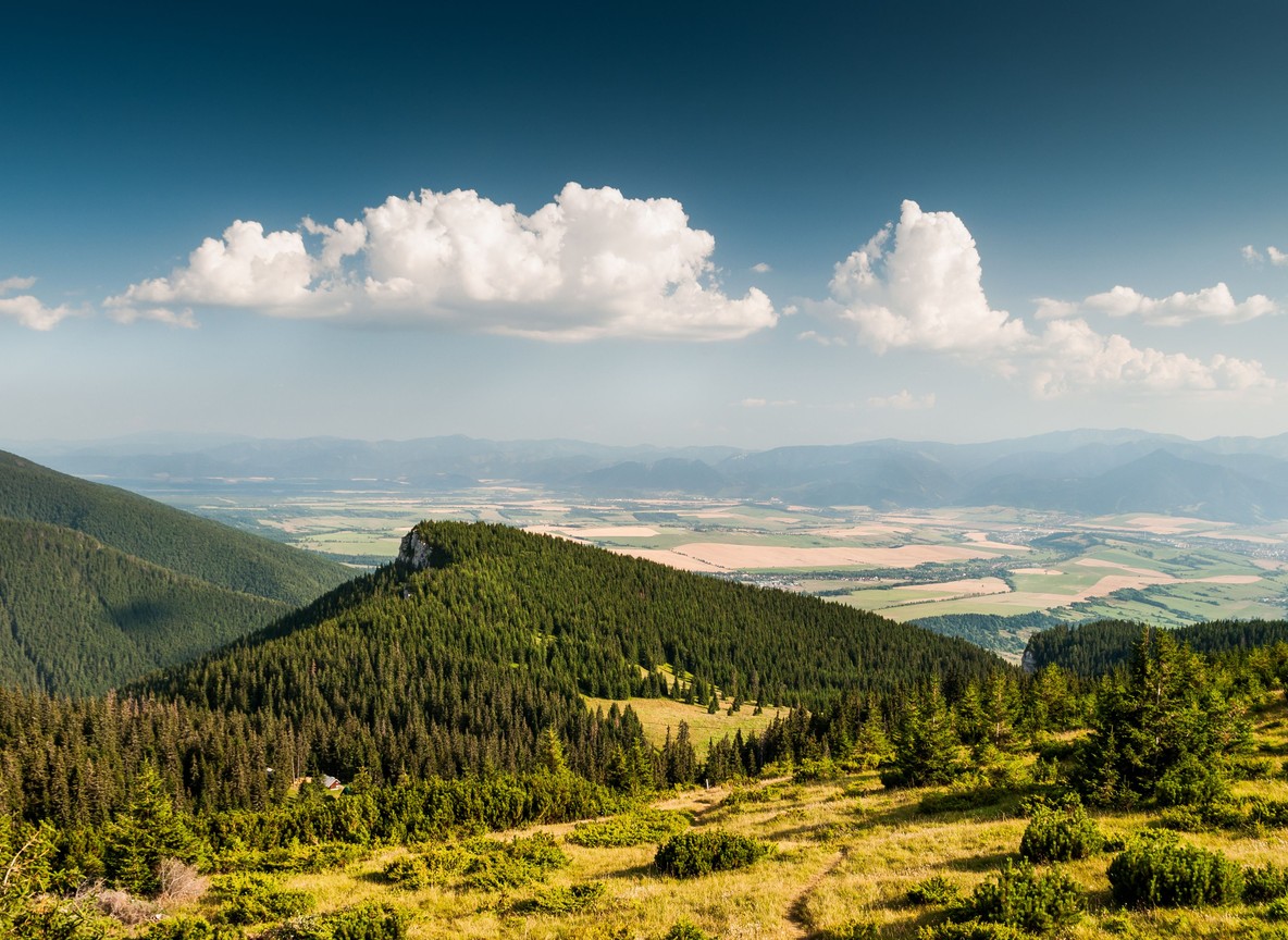Forested highland hills and valley typical of the North Rift's Cherangany Hills and Kerio Valley landscape