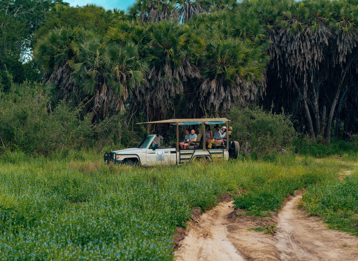 A small group of travelers boarding a safari vehicle at a camp airstrip in the Maasai Mara, luggage stacked beside them