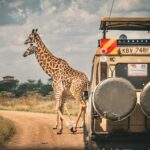 Kenya Tourism Industry Fuel Price Response