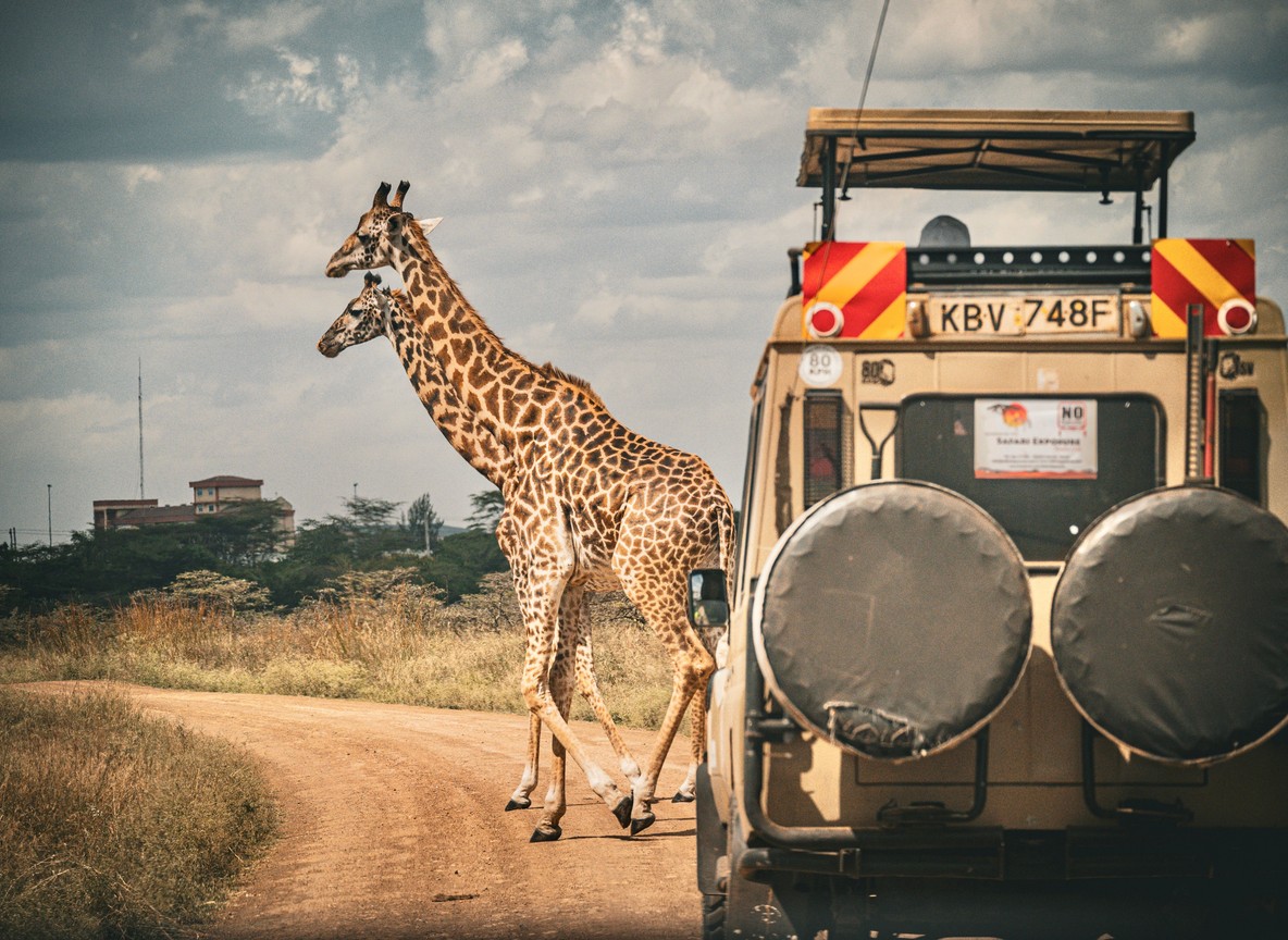 Kenya Tourism Industry Fuel Price Response