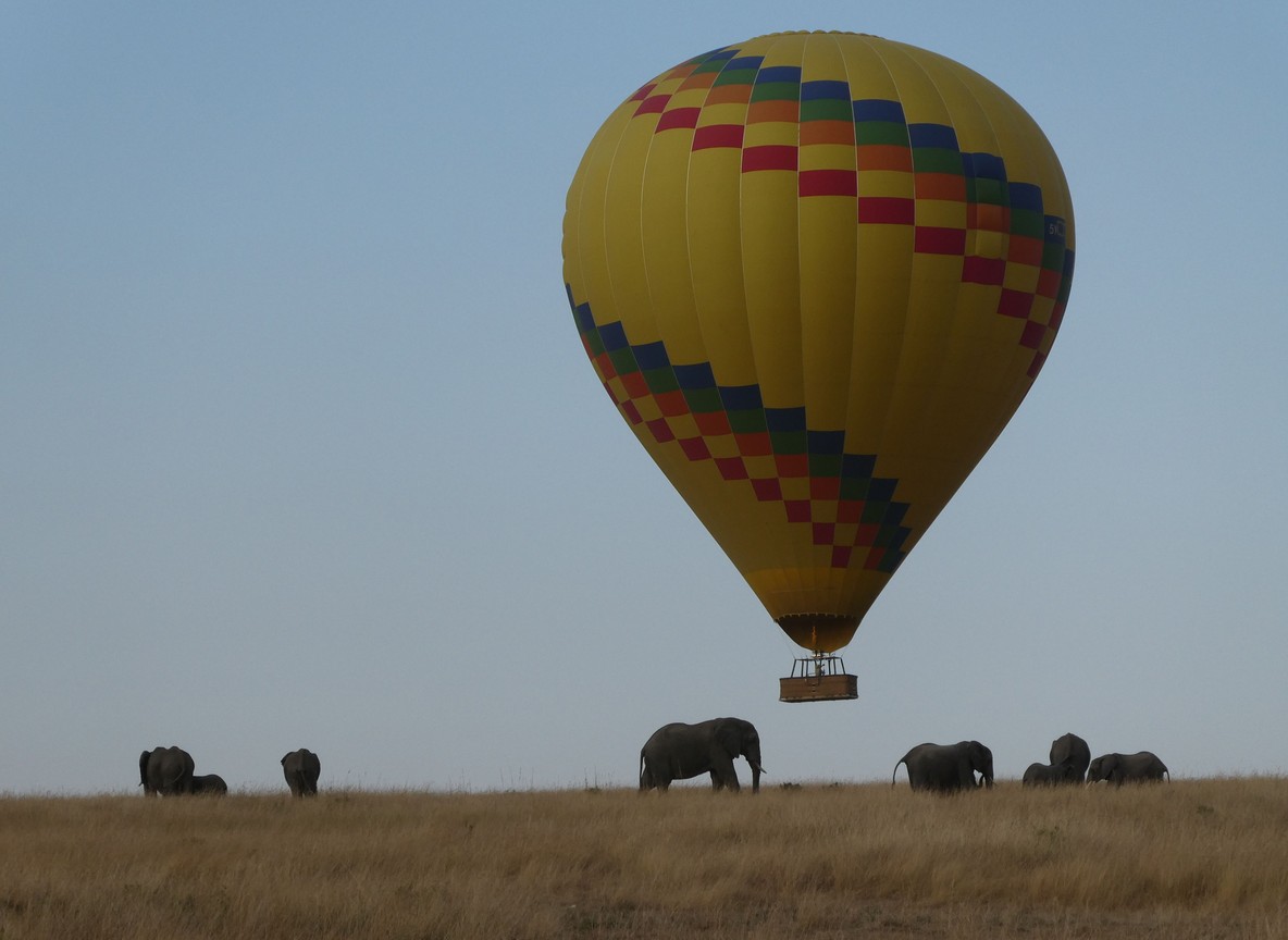 A hot-air balloon drifting over grazing elephants at sunrise in the Maasai Mara, Kenya