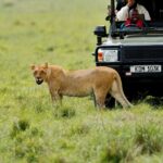 Kenya Visa Requirements Complete Guide To Applying For Your Visa