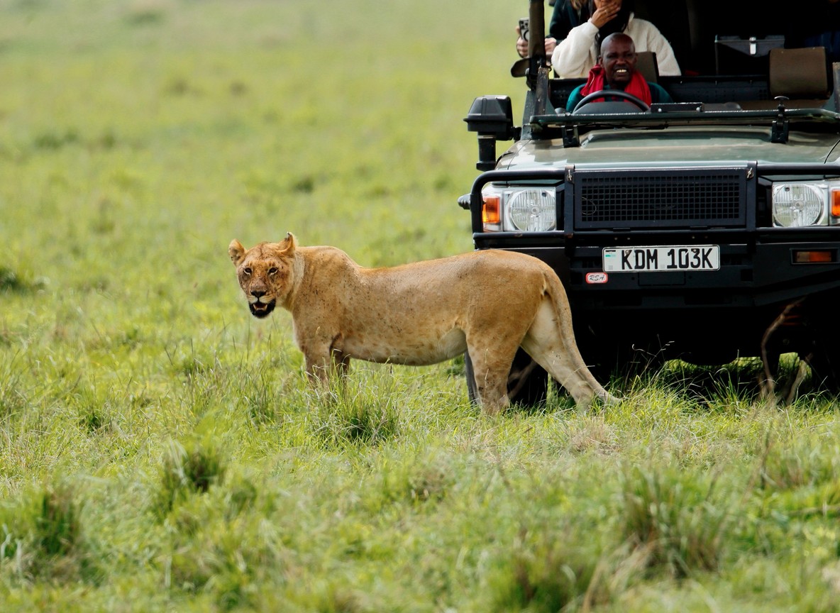 Kenya Visa Requirements Complete Guide To Applying For Your Visa