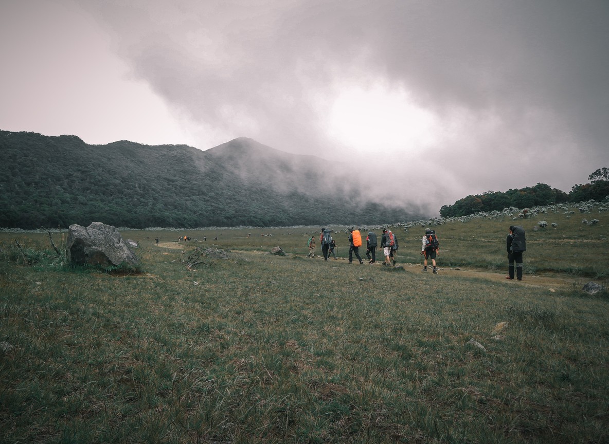 A trekking group hiking a misty volcanic slope through bamboo forest in Volcanoes National Park, Rwanda