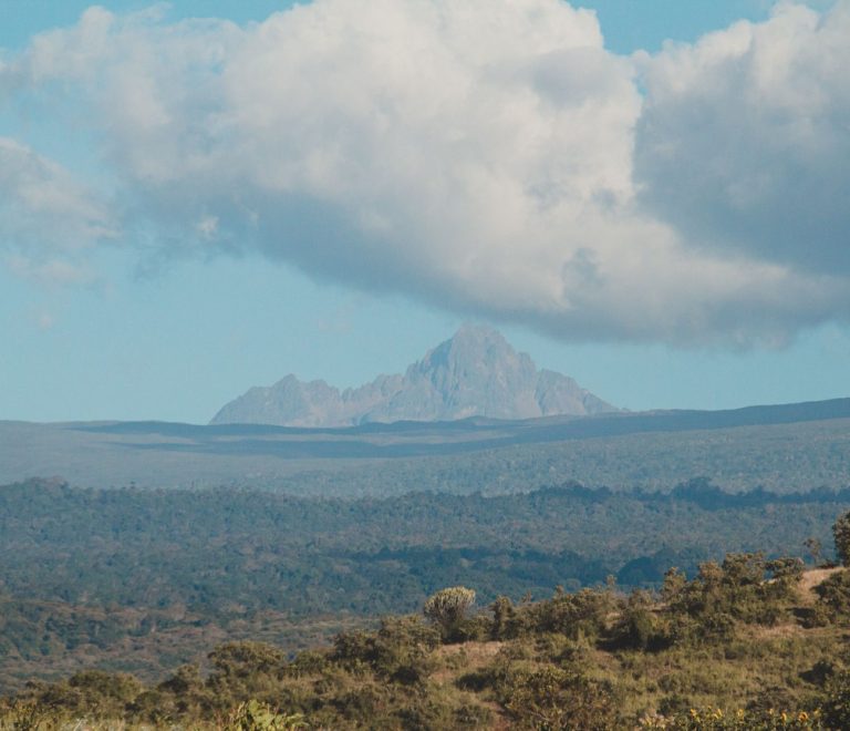 Yoga mat set up on a wooden deck overlooking the Laikipia plains at sunrise, zebra grazing in the distance
