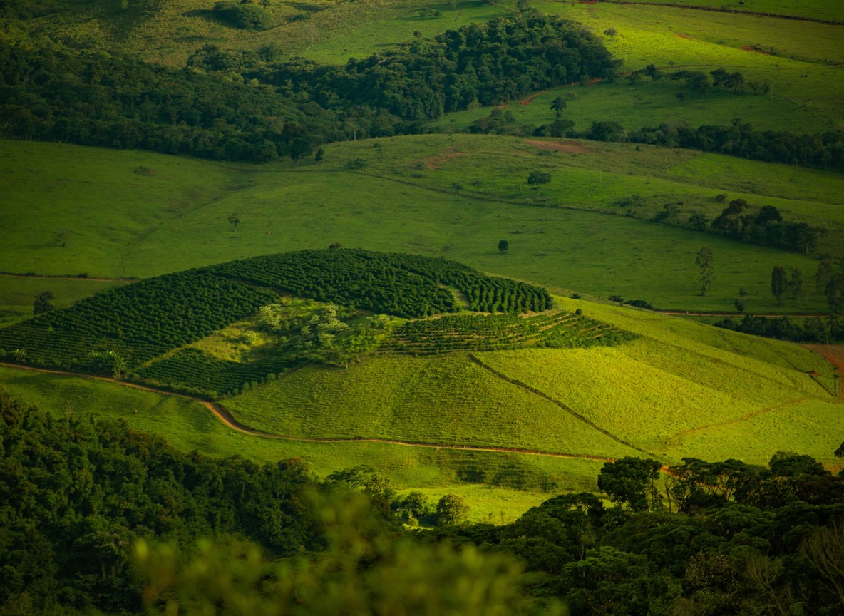 Green highland farmland characteristic of the Trans Nzoia countryside around Kitale