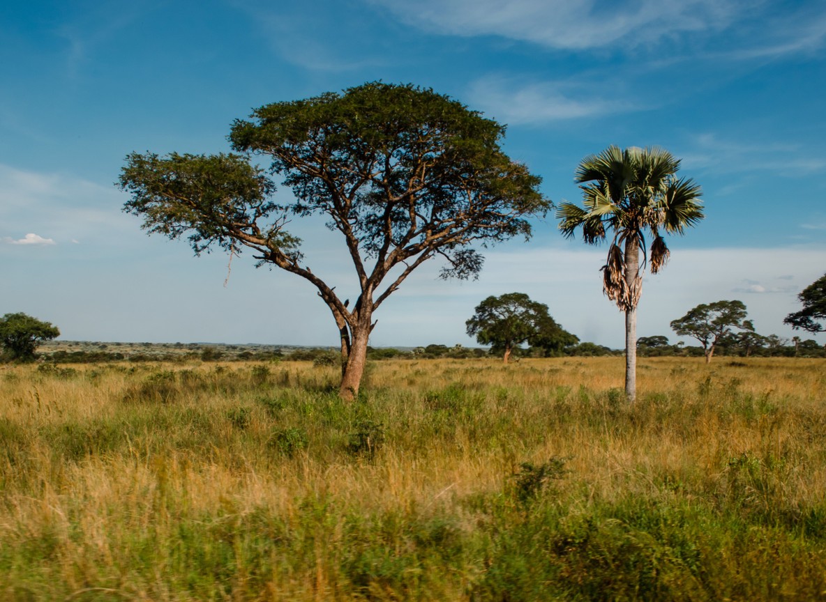 A canvas safari suite on raised decking overlooking the Nile River floodplain in Murchison Falls National Park at golden hour