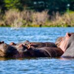 Lake Baringo Safari