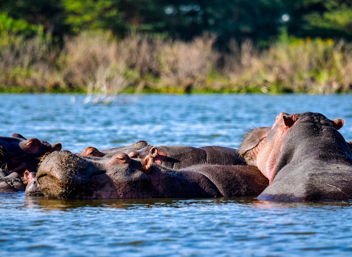 Lake Baringo Safari