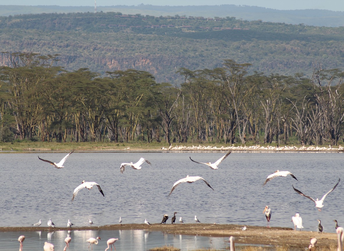 Lake Baringo Safari
