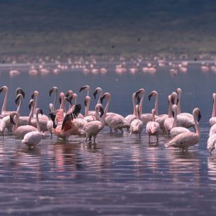 Lake Bogoria