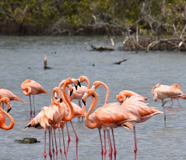 A ranger gate at Lake Nakuru National Park with flamingos visible on the lake in the background, daylight