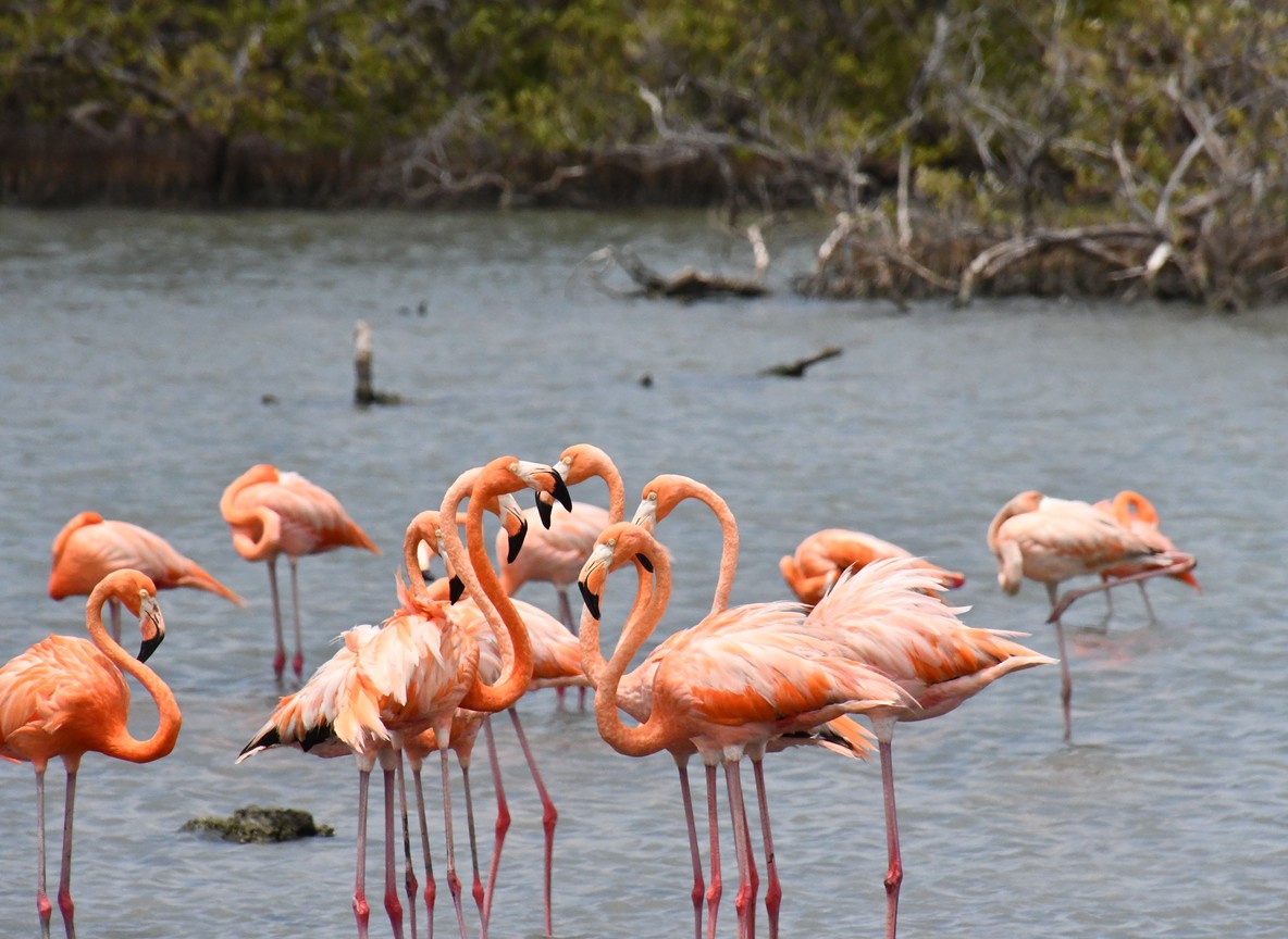 A ranger gate at Lake Nakuru National Park with flamingos visible on the lake in the background, daylight