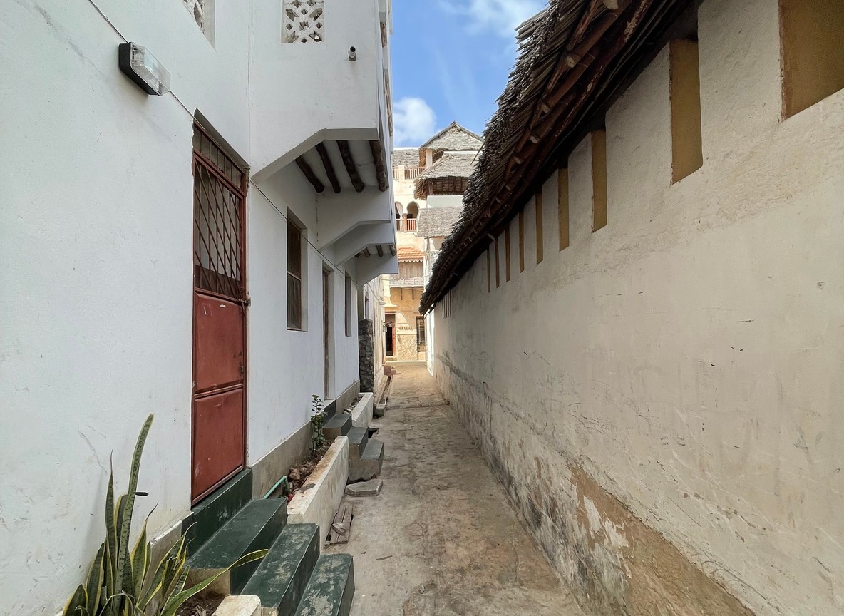 Donkeys walking through a narrow coral-stone street in Lamu Old Town lined with traditional carved wooden doors