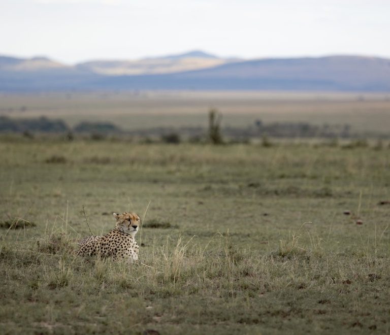 Mara River Camp Oloololo Escarpment Maasai Mara